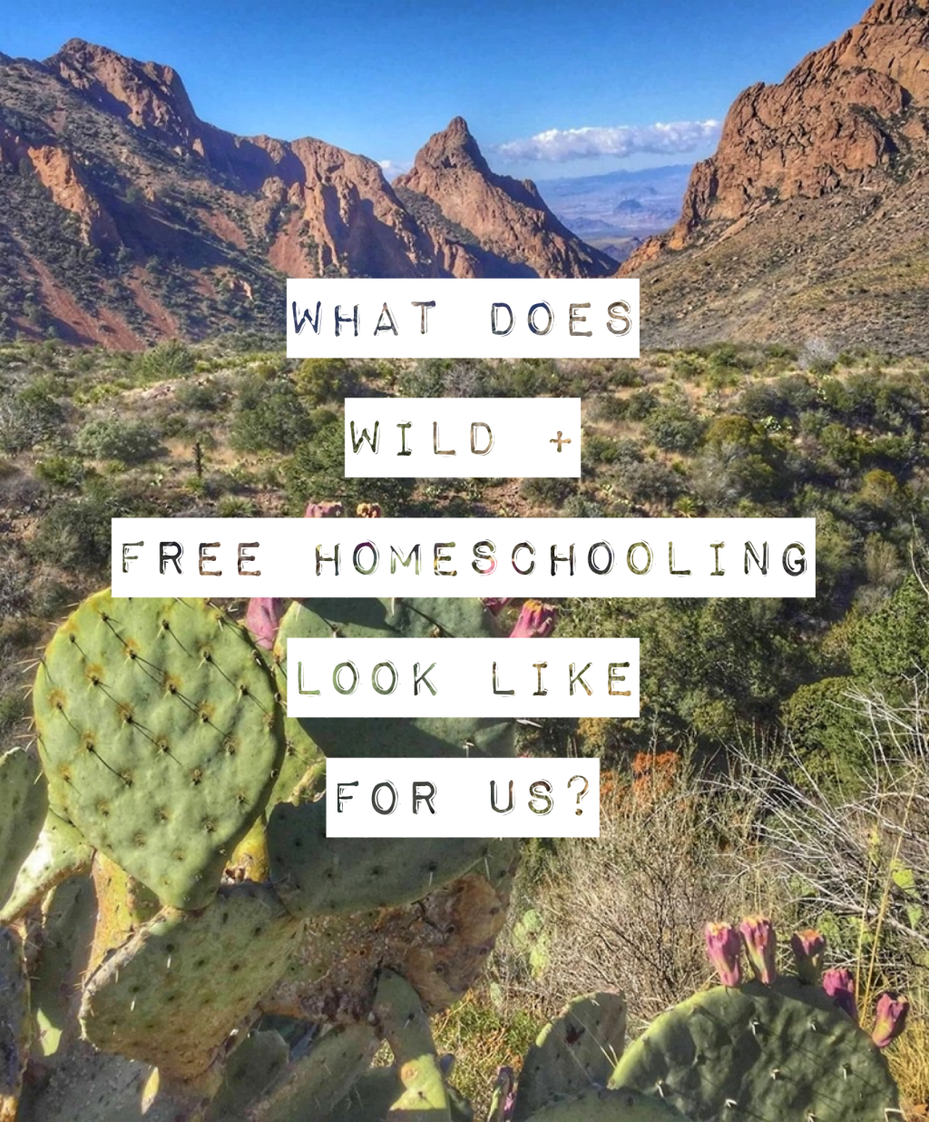 What Does Wild + Free Homeschooling Look Like For&nbsp;Us?
