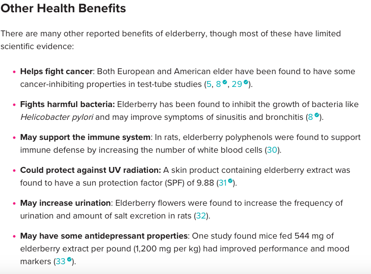 Screen Shot 2020-03-13 at 11.13.31 PM