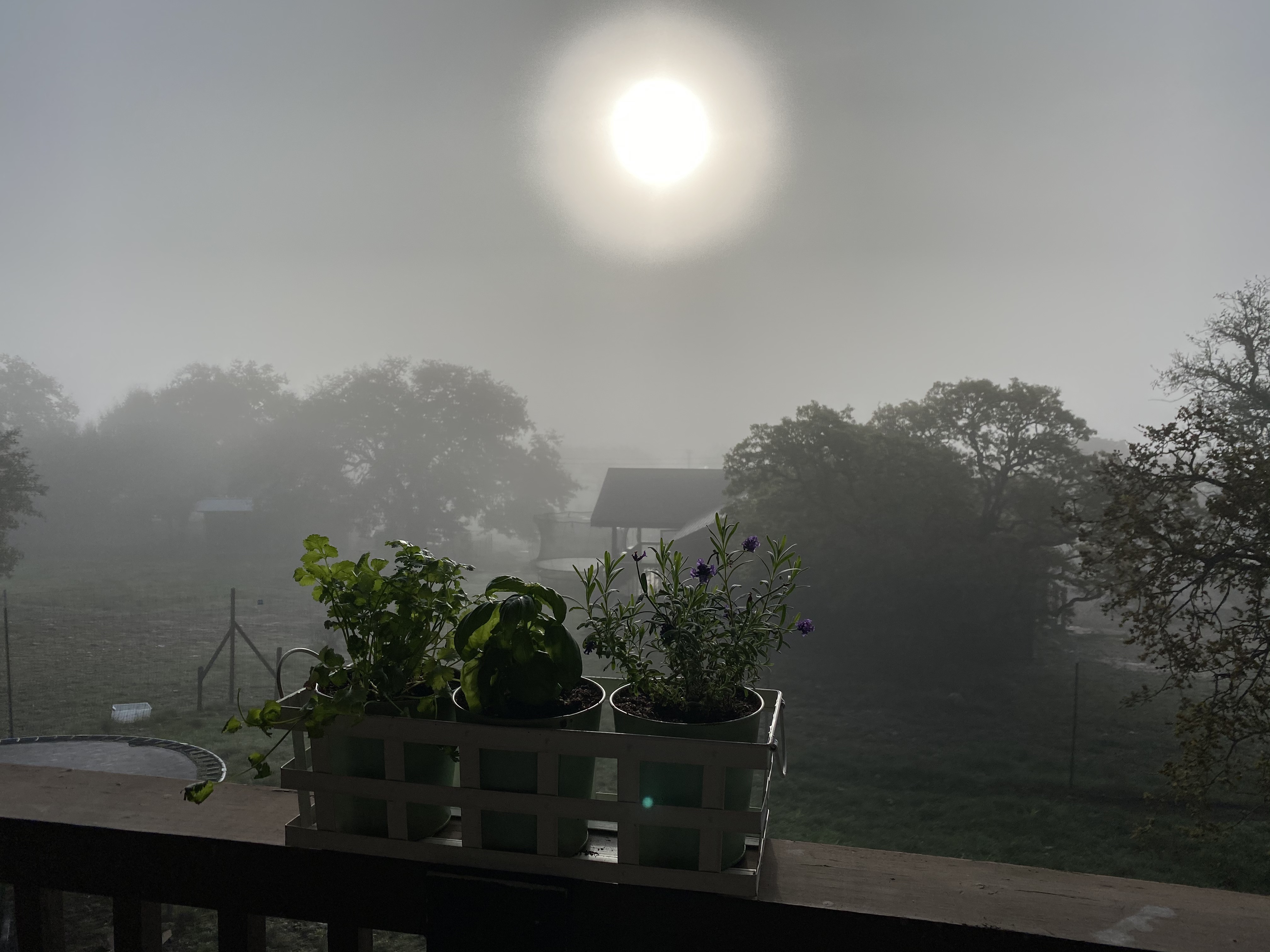 %KTZFGjxSba9iYXMywiuxQ