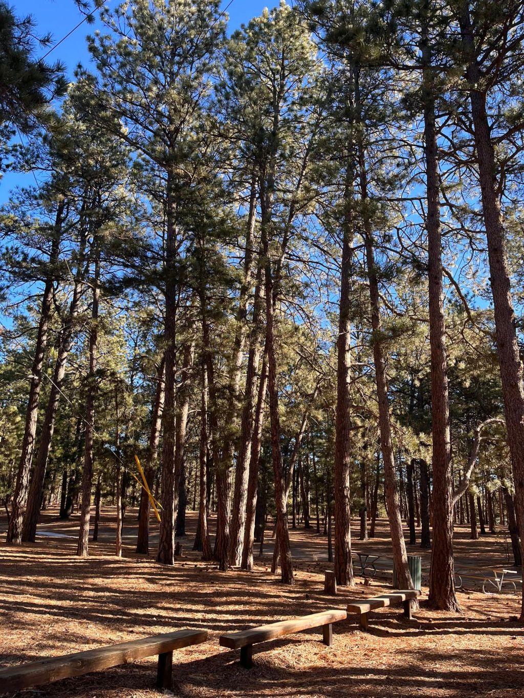 What Our Homeschool Will Look Like +&nbsp;Nutrition