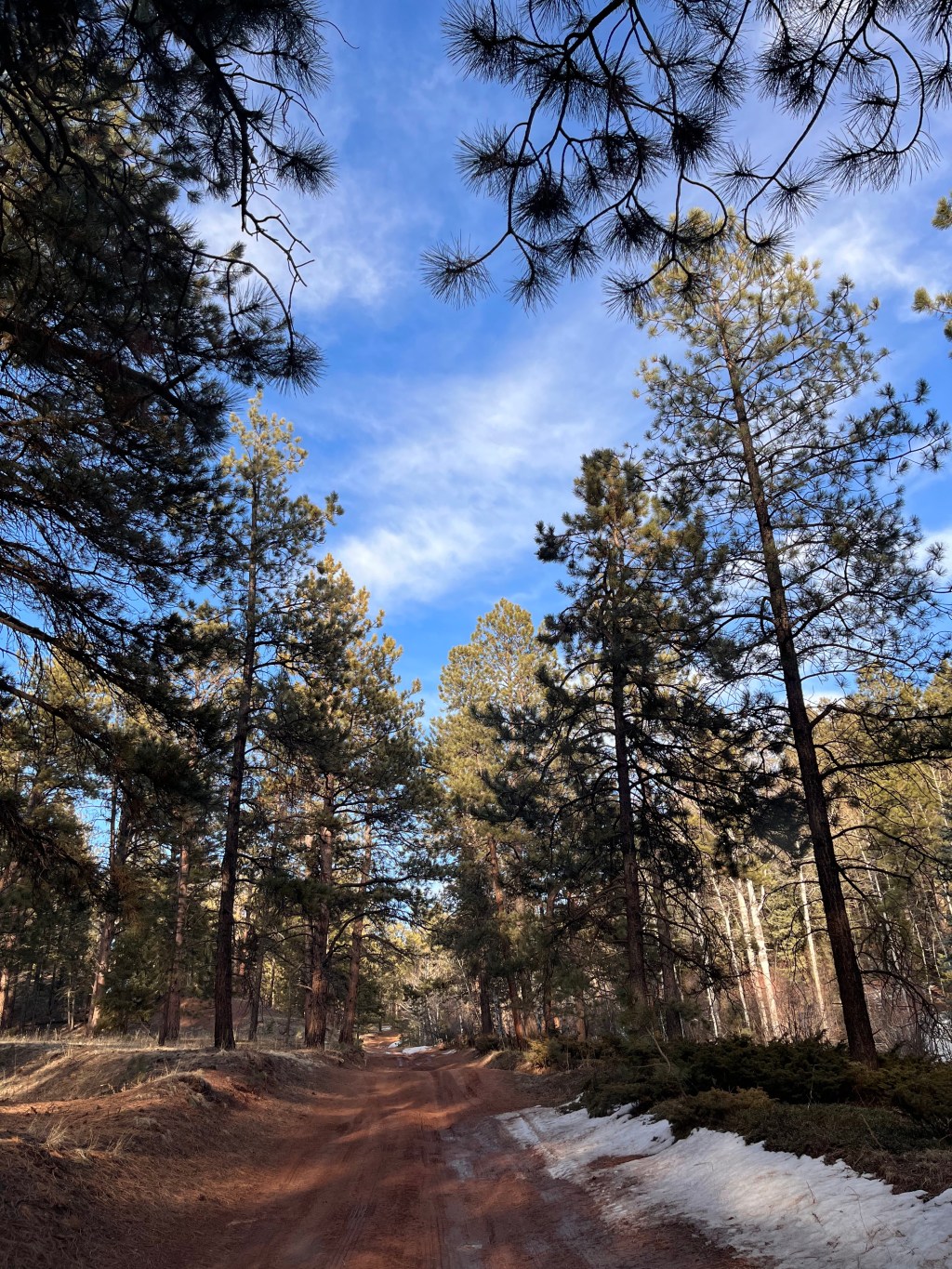 There’s Nothing Wrong with Seeking Excellence + Learning How to Avoid&nbsp;Self-Sabotage