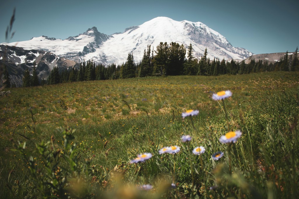 Learning to be Flexible with the Roller Coaster of&nbsp;Life