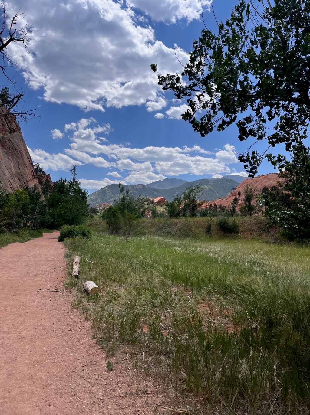 What I’ve Been Up&nbsp;To