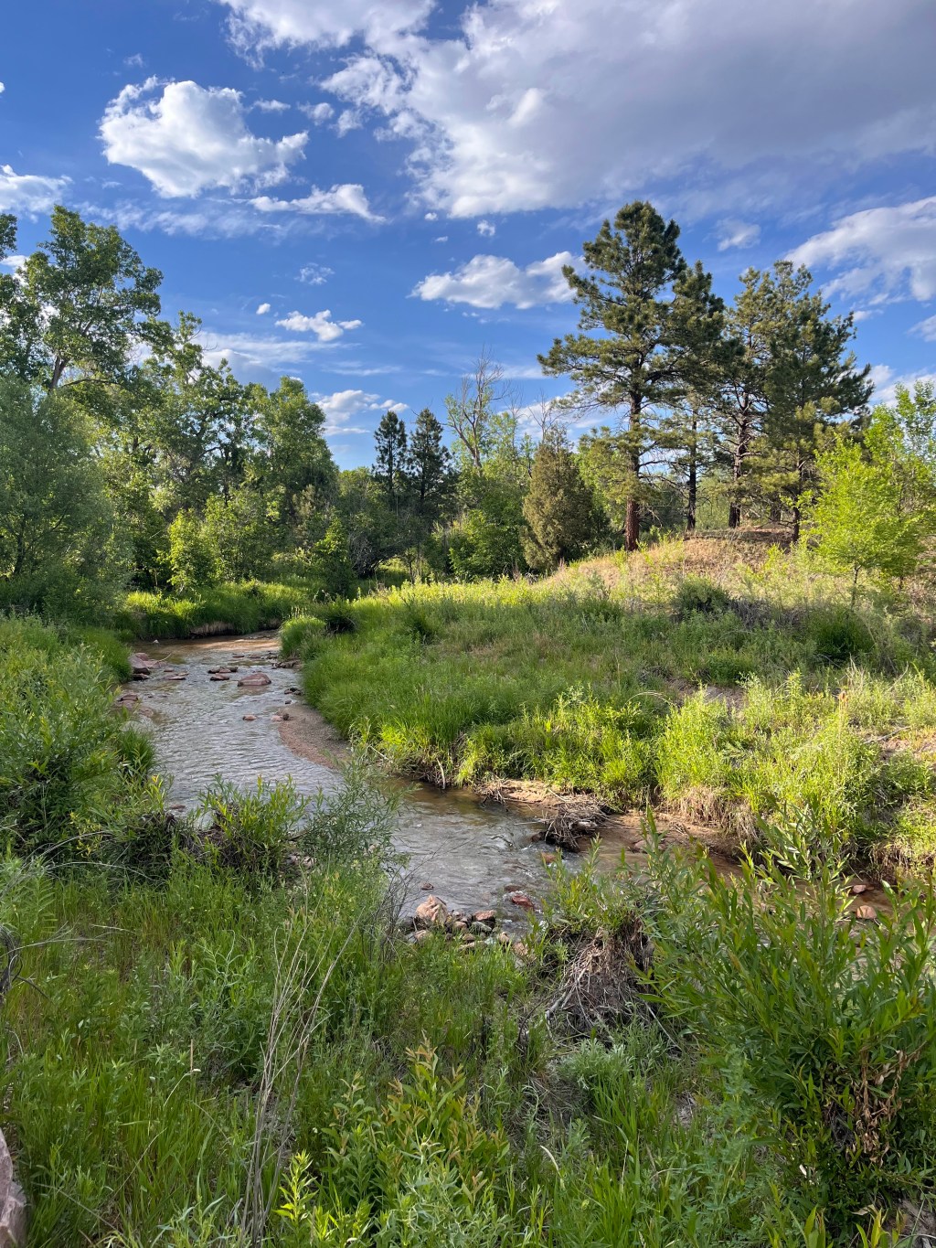 4 Mile Race and General&nbsp;Wellness