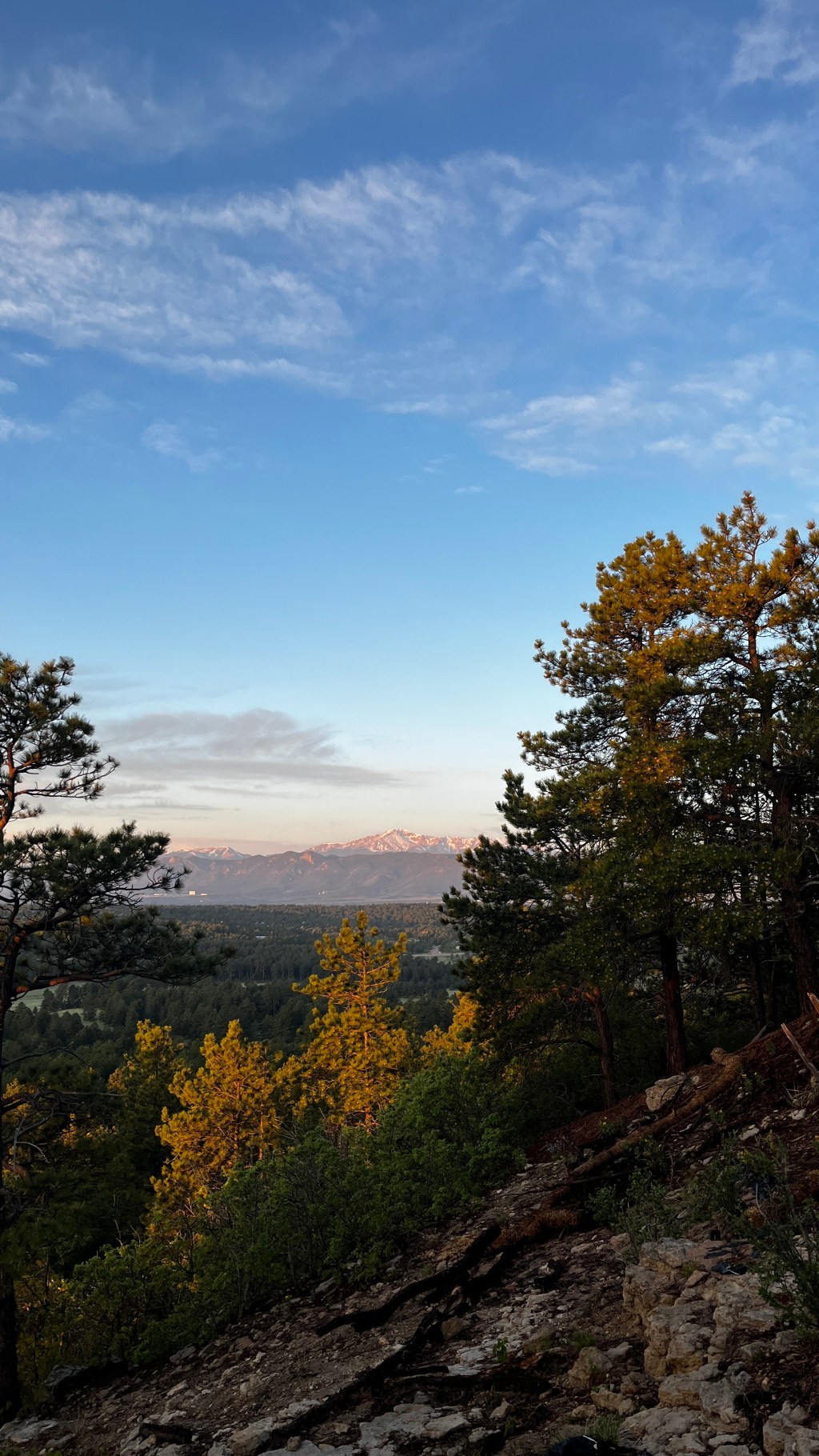 Upcoming Plans and&nbsp;Prep