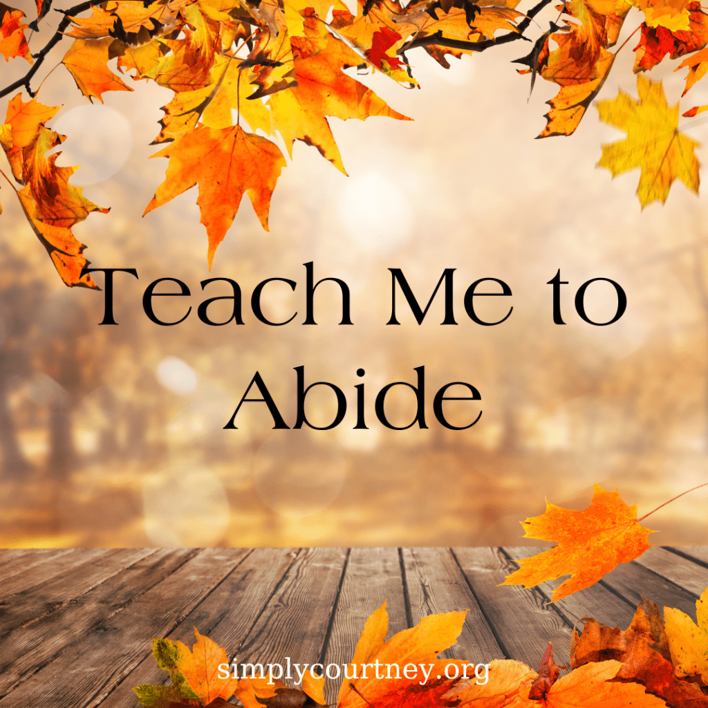 Teach Me To&nbsp;Abide