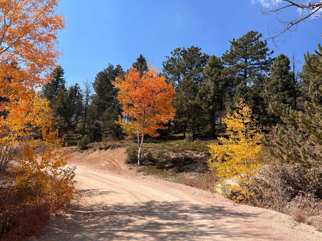 Slowing Down, Savoring, and&nbsp;Prioritizing