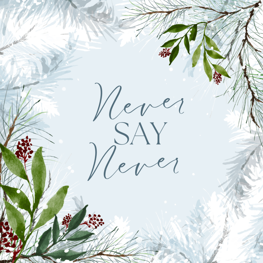 Never Say Never Part&nbsp;2