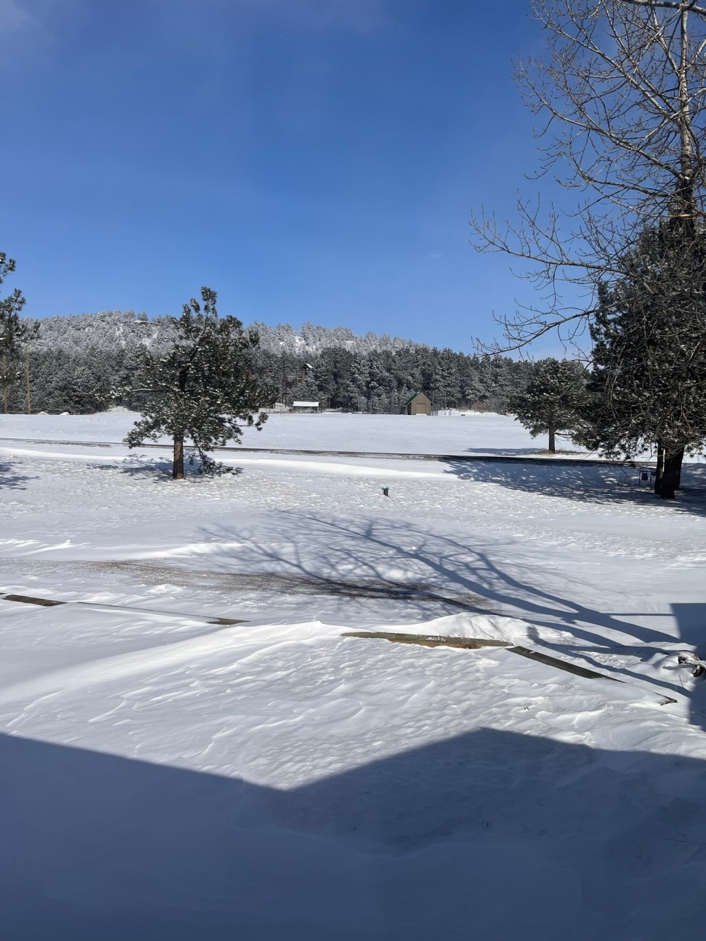 No Longer Shrinking&nbsp;Myself