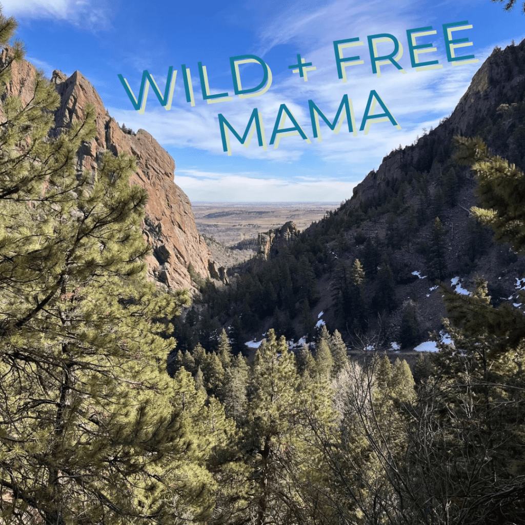 Back to Wild + Free&nbsp;Mama