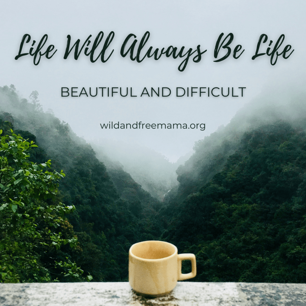Life Will Always Be Life: Beautiful and&nbsp;Difficult