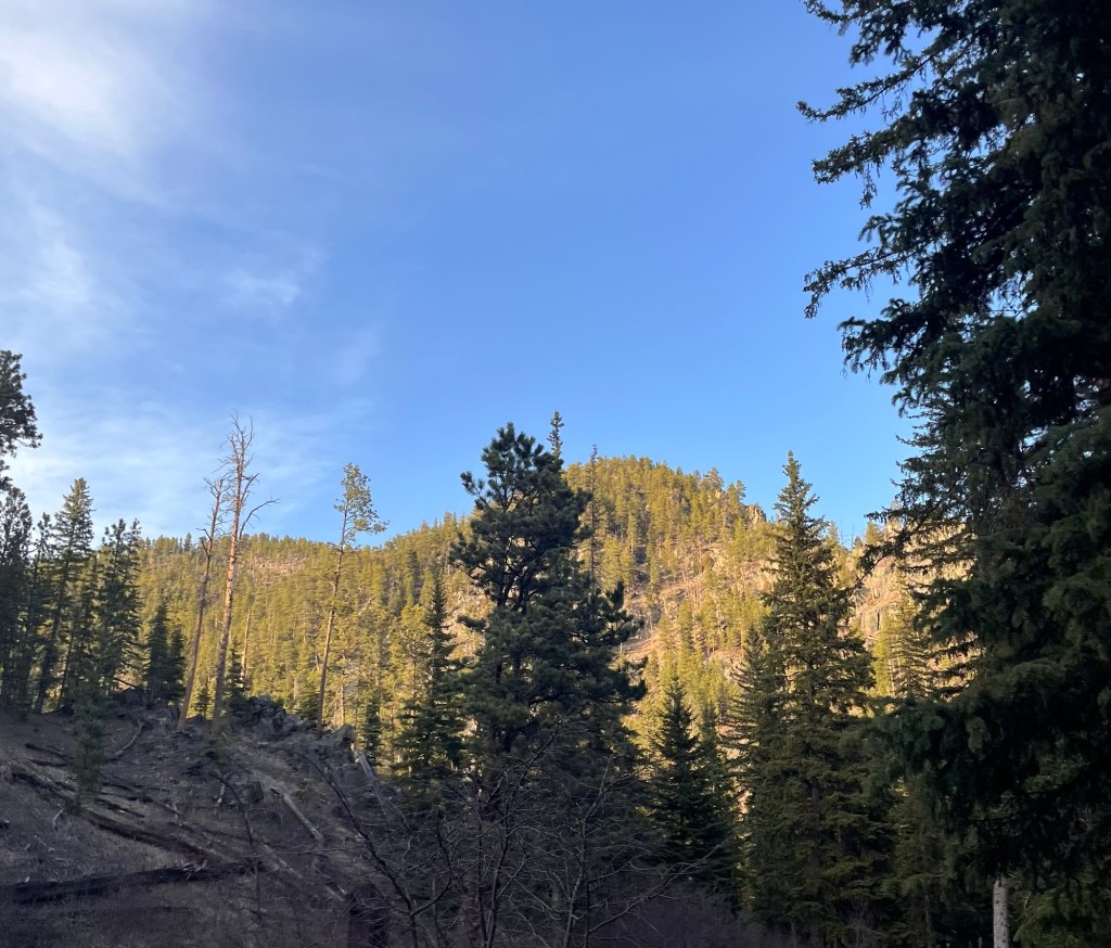 New (Possible) Information About My&nbsp;Brain