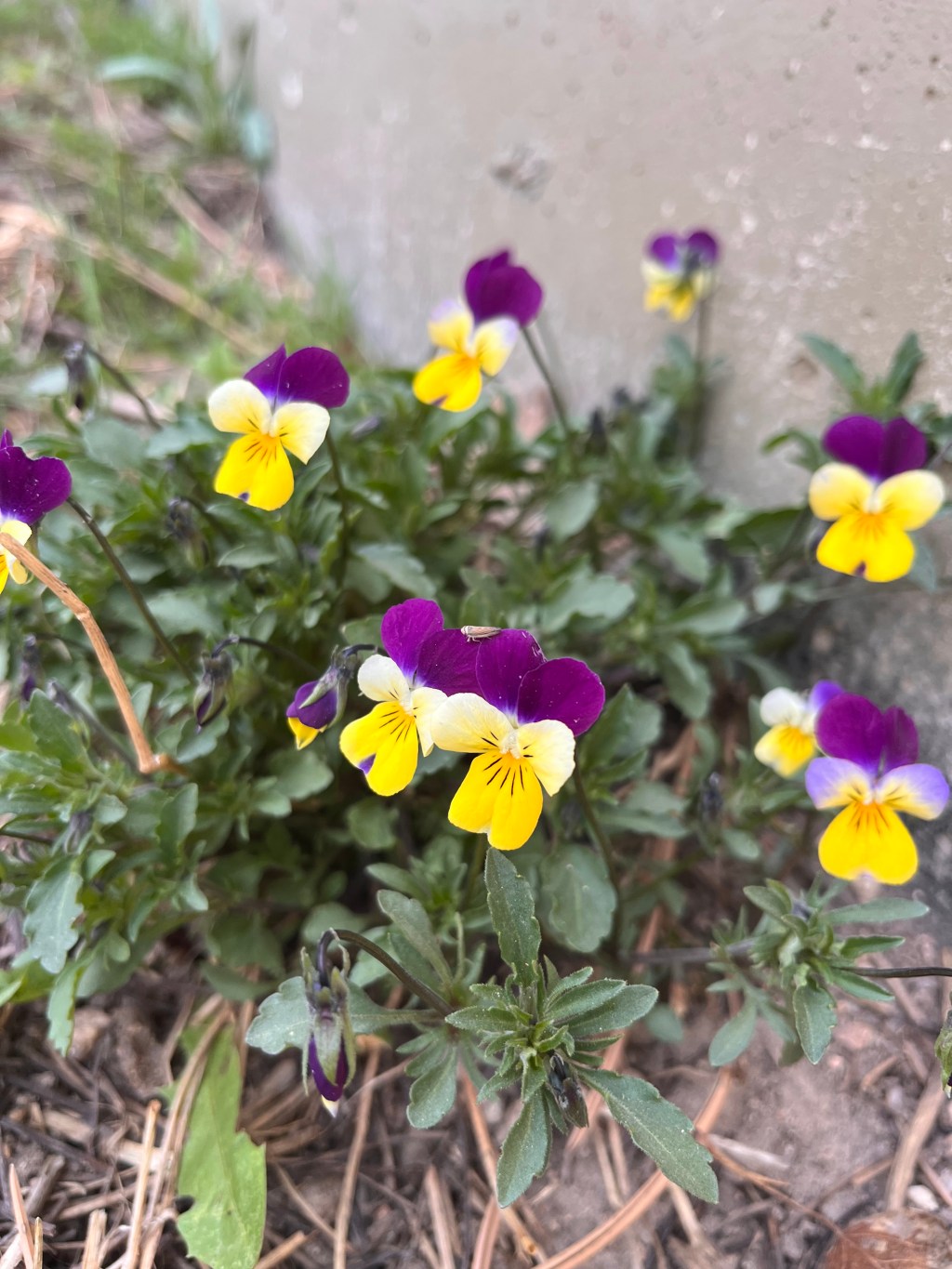 One Day at a&nbsp;Time