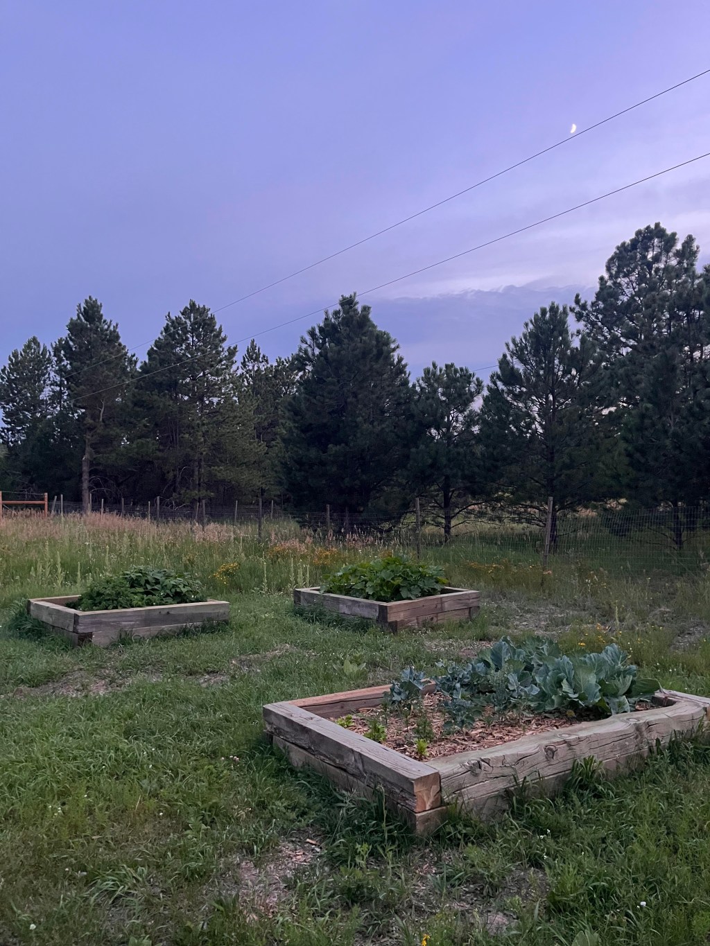 In All My&nbsp;Messiness