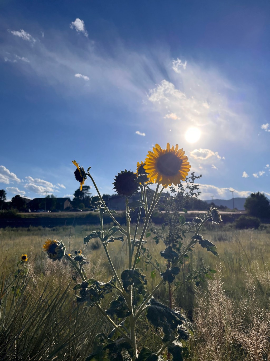 Feeling More Grounded Than Ever&nbsp;Before