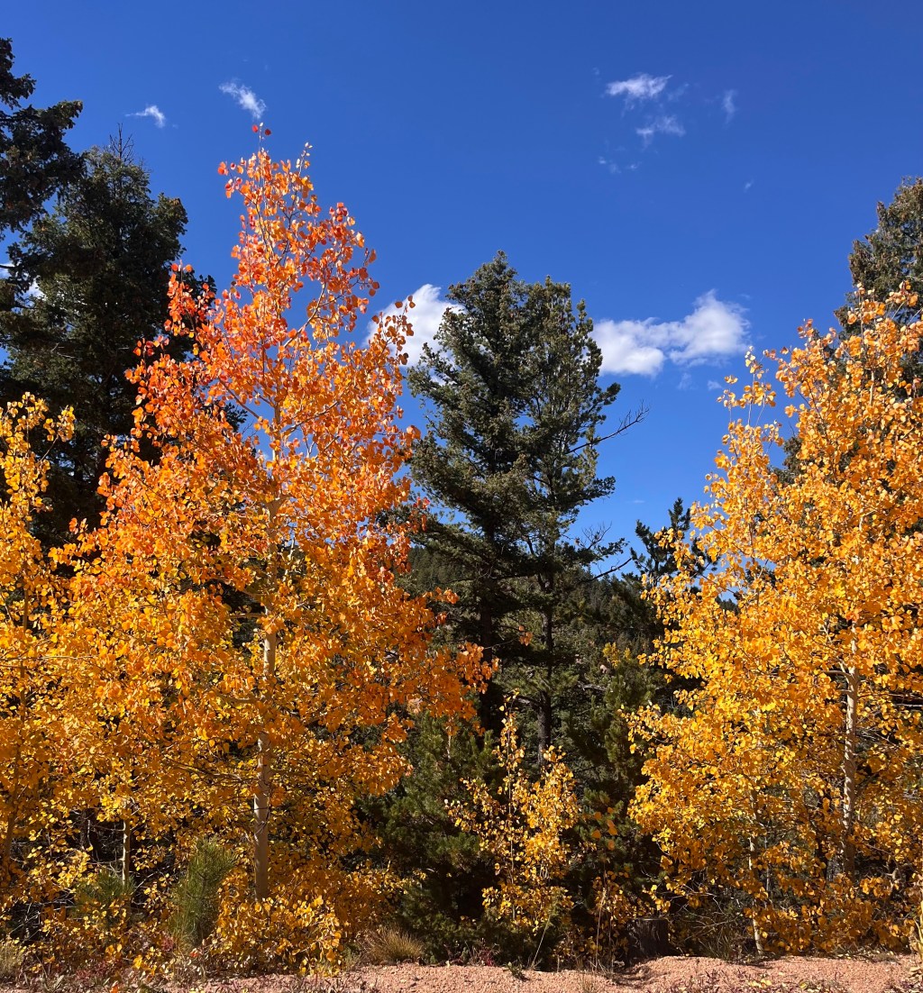 One day, things will settle down…&nbsp;right?