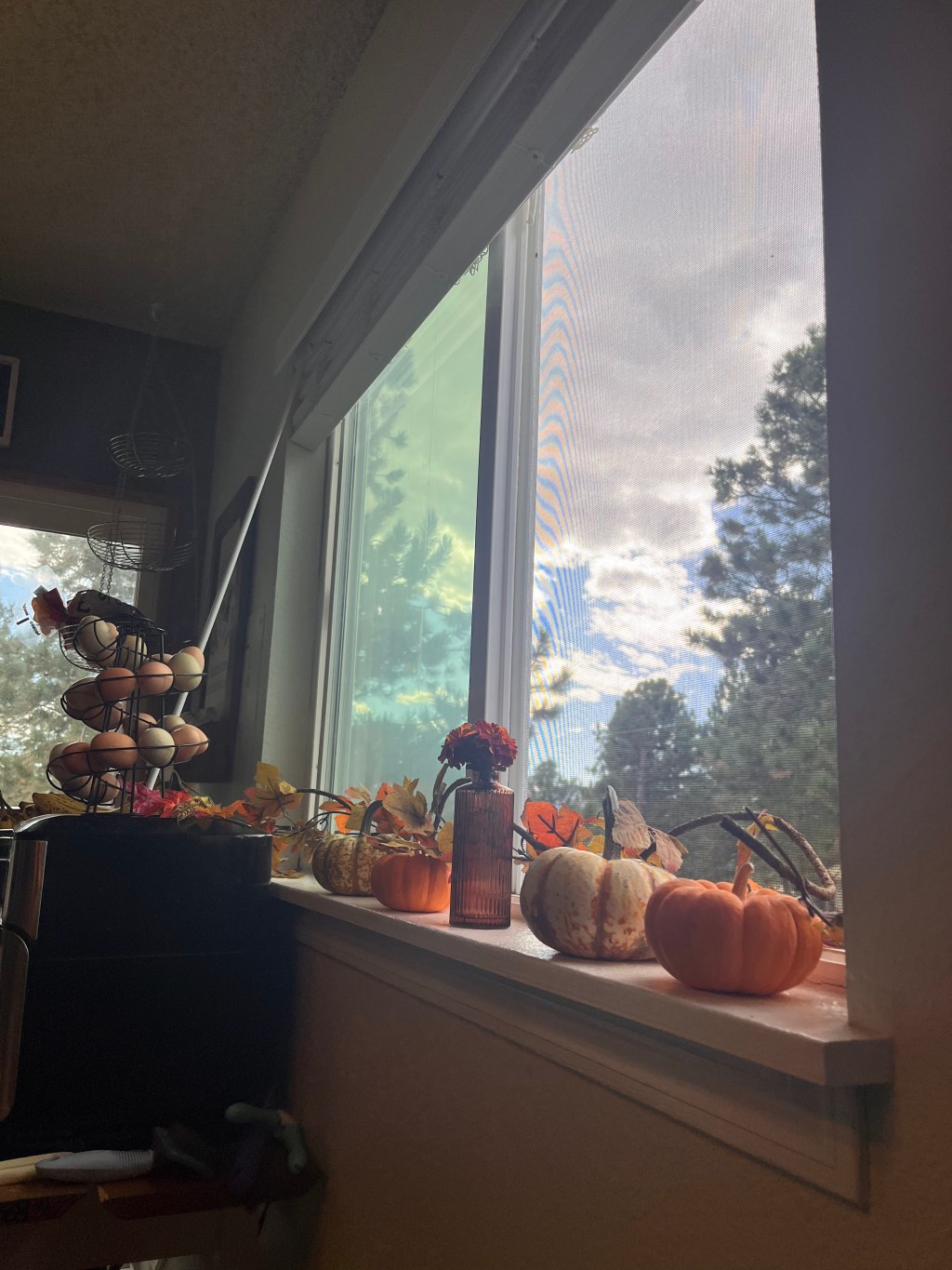 9 Years Sober and My Beautiful&nbsp;Life